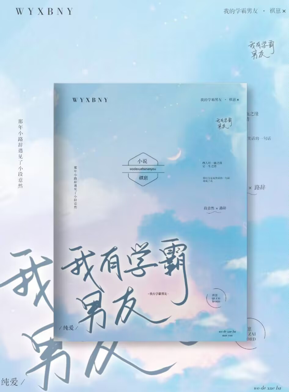 我有学霸男友