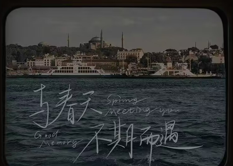 外星懒蛋大少爷