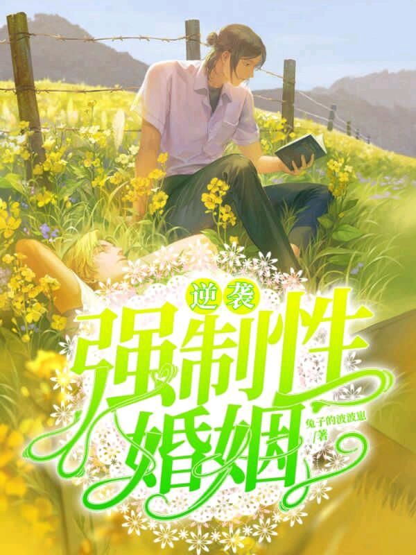 兔子的波波崽