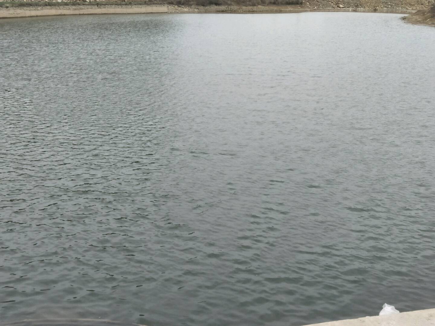 糖醋排骨