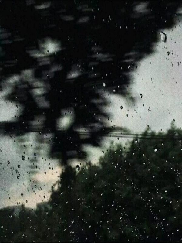 愿秋遇