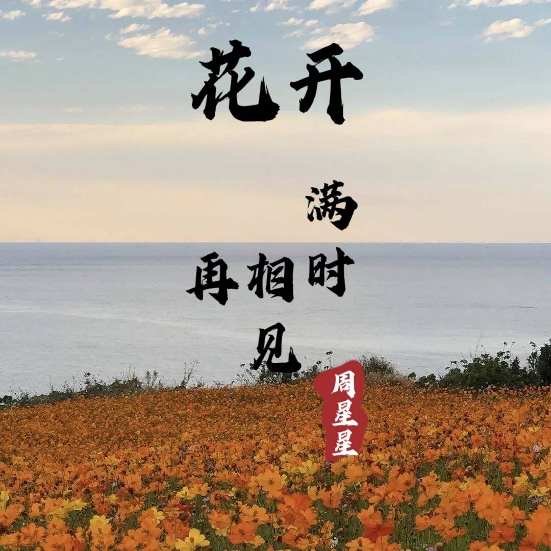 花开满时再相见