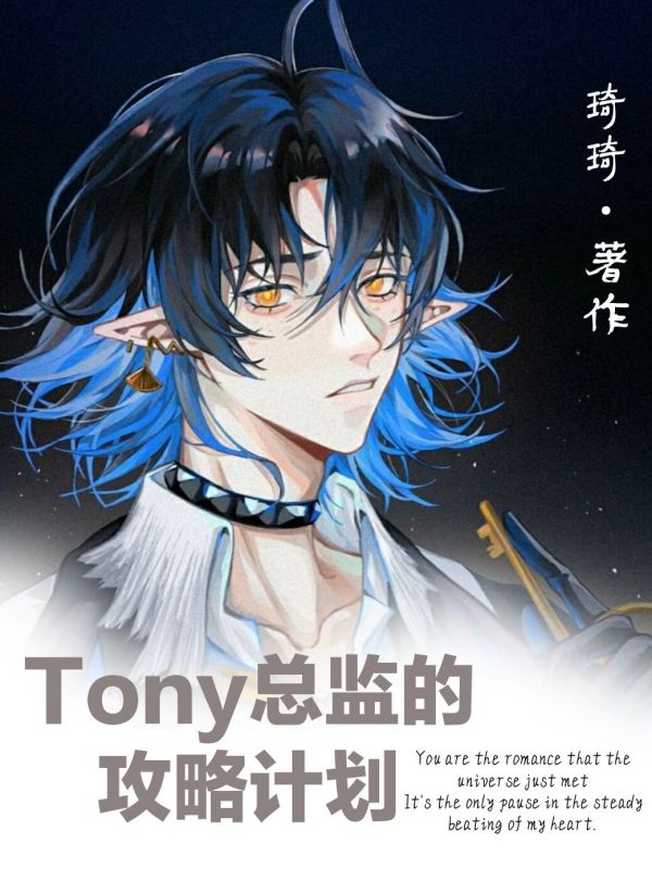 Tony总监的攻略计划