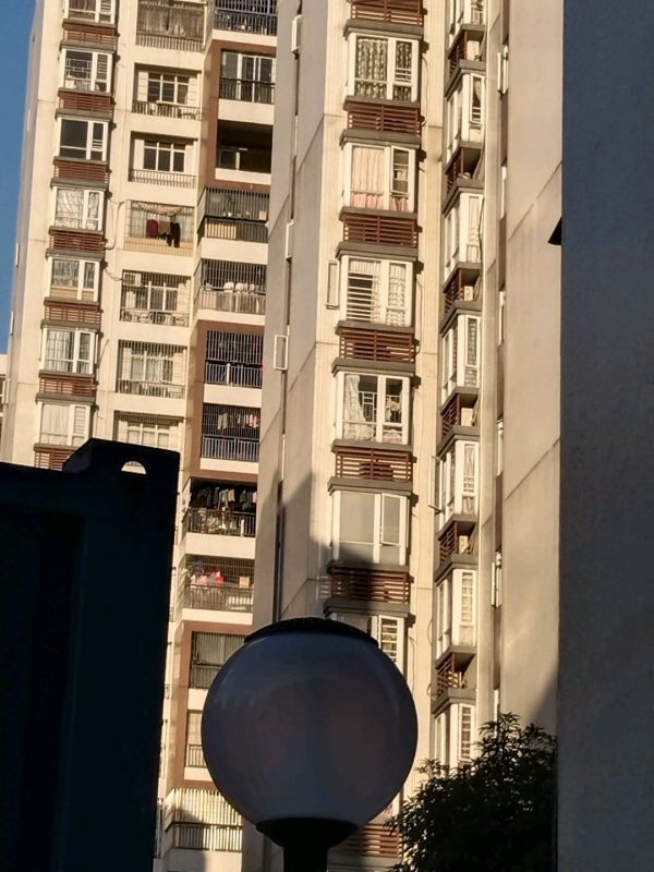 等你来说爱我
